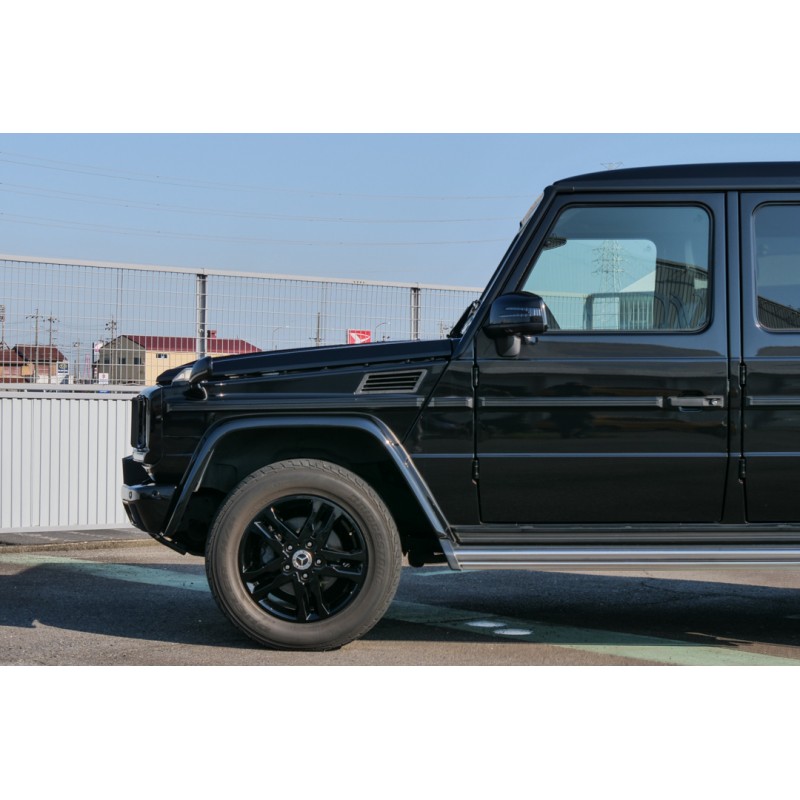 Mercedes Benz G Class (N.8525) view 19