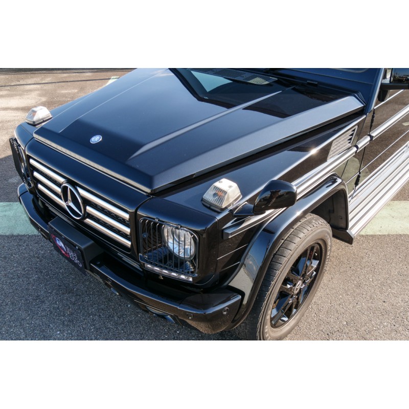 Mercedes Benz G Class (N.8525) view 13