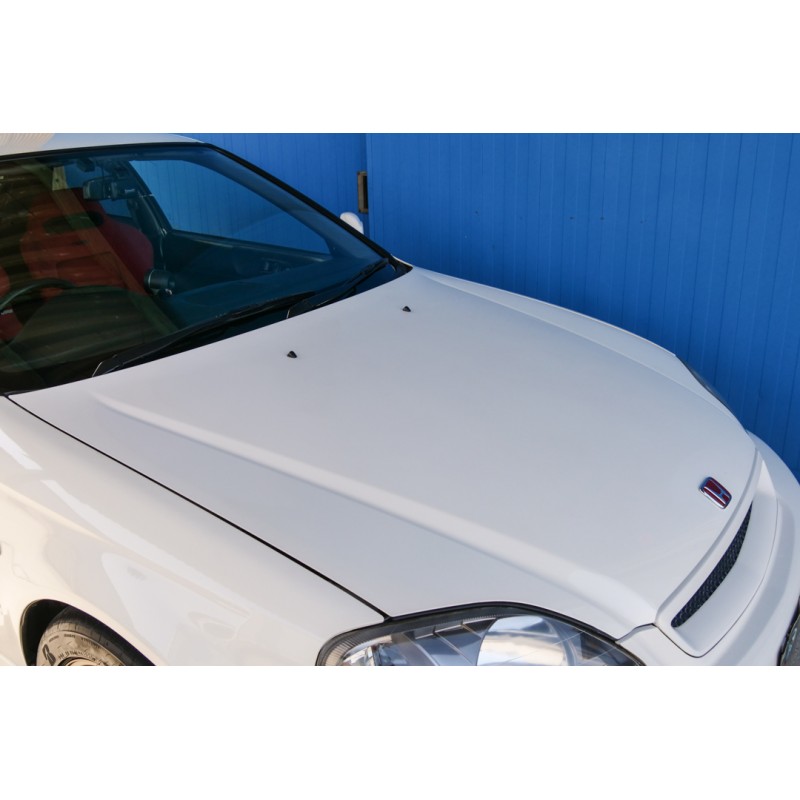 Honda Civic Type R (N.8477) view 48