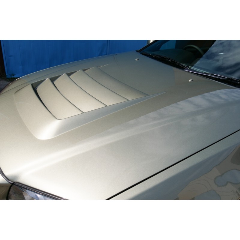Nissan Skyline GT-R V-spec CRS (N.8522) view 22