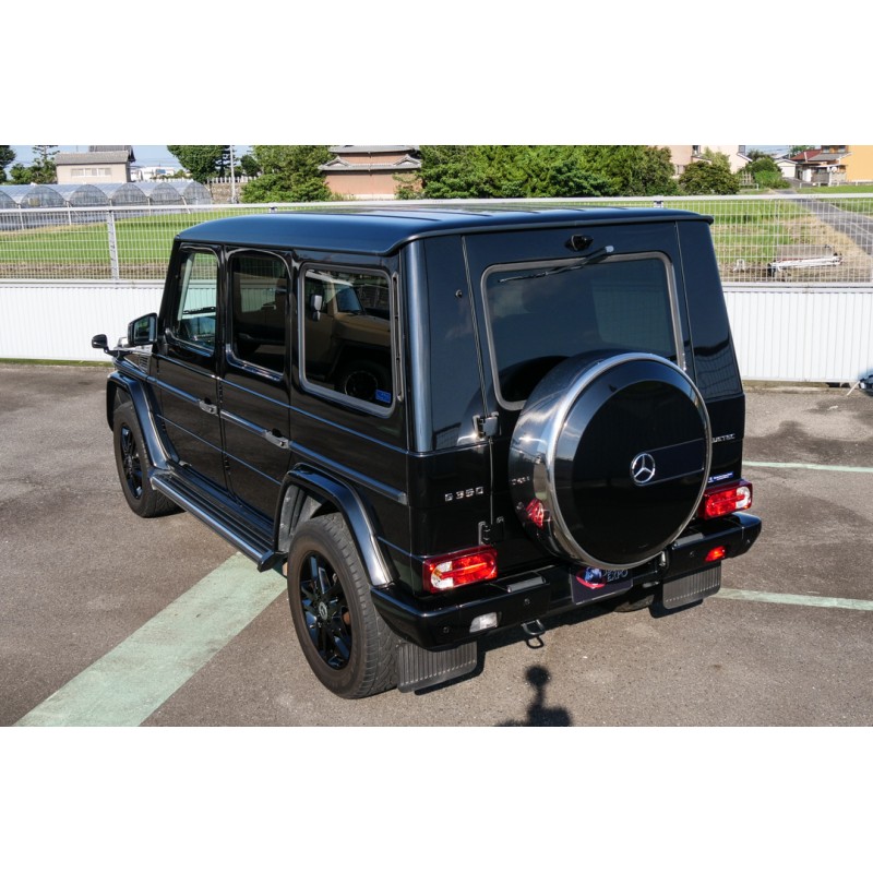 Mercedes Benz G Class (N.8525) view 11