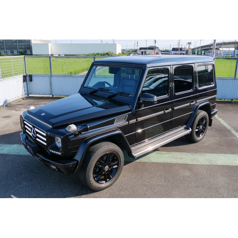 Mercedes Benz G Class (N.8525) view 10