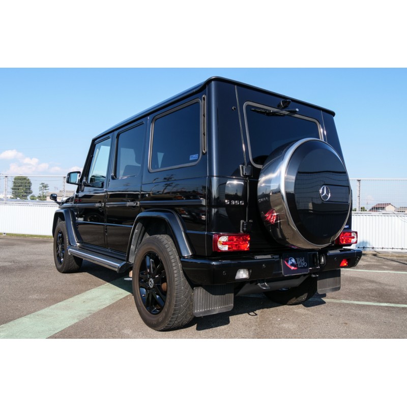 Mercedes Benz G Class (N.8525) view 17