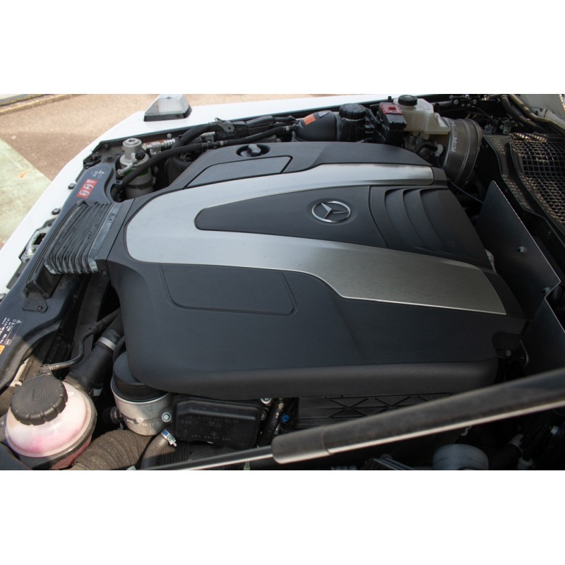 Mercedes Benz G350d (N.8550) view 40