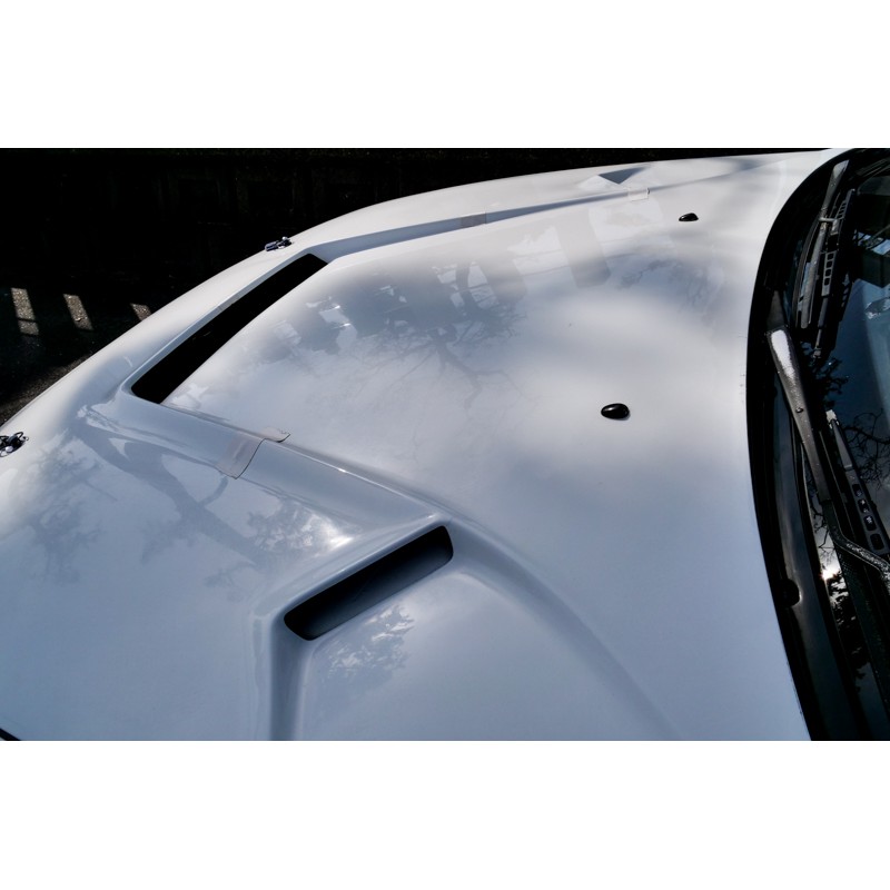Nissan Skyline GTR for sale (N.8230) view 17