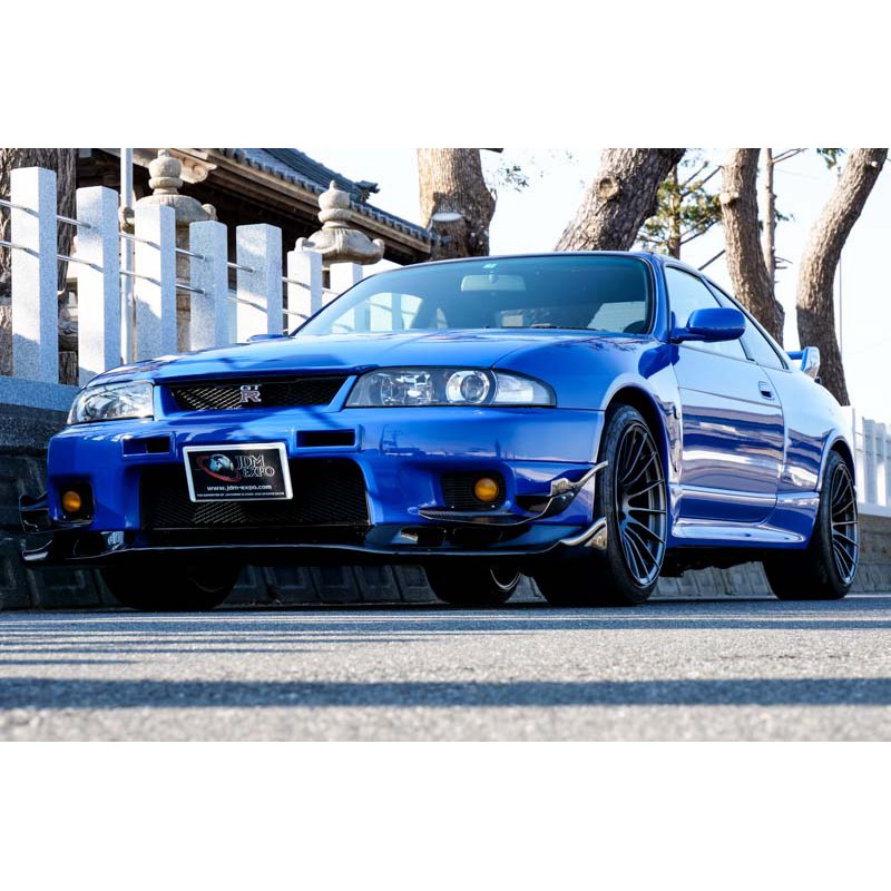Nissan Skyline GTR fro sale (N.8231) view 21